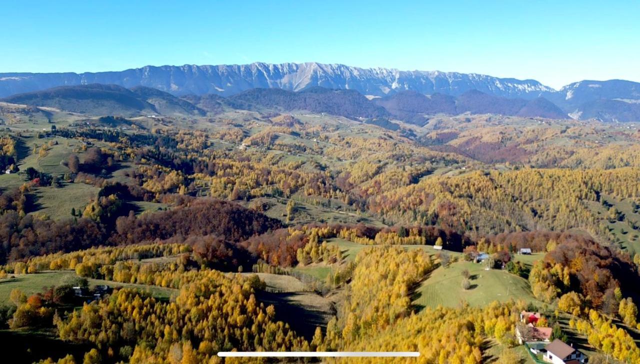 Villa Prater House Mountain View Moieciu de Jos Esterno foto