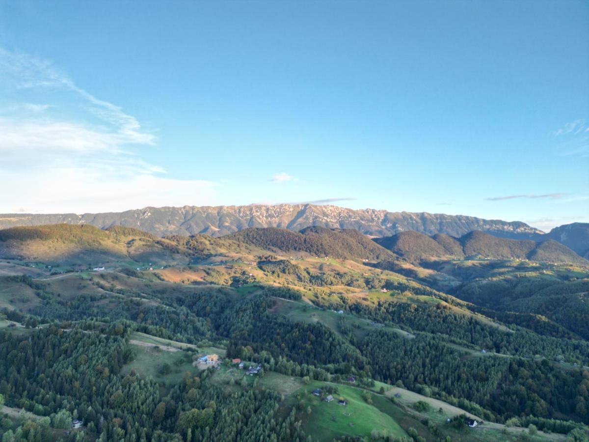 Villa Prater House Mountain View Moieciu de Jos Esterno foto