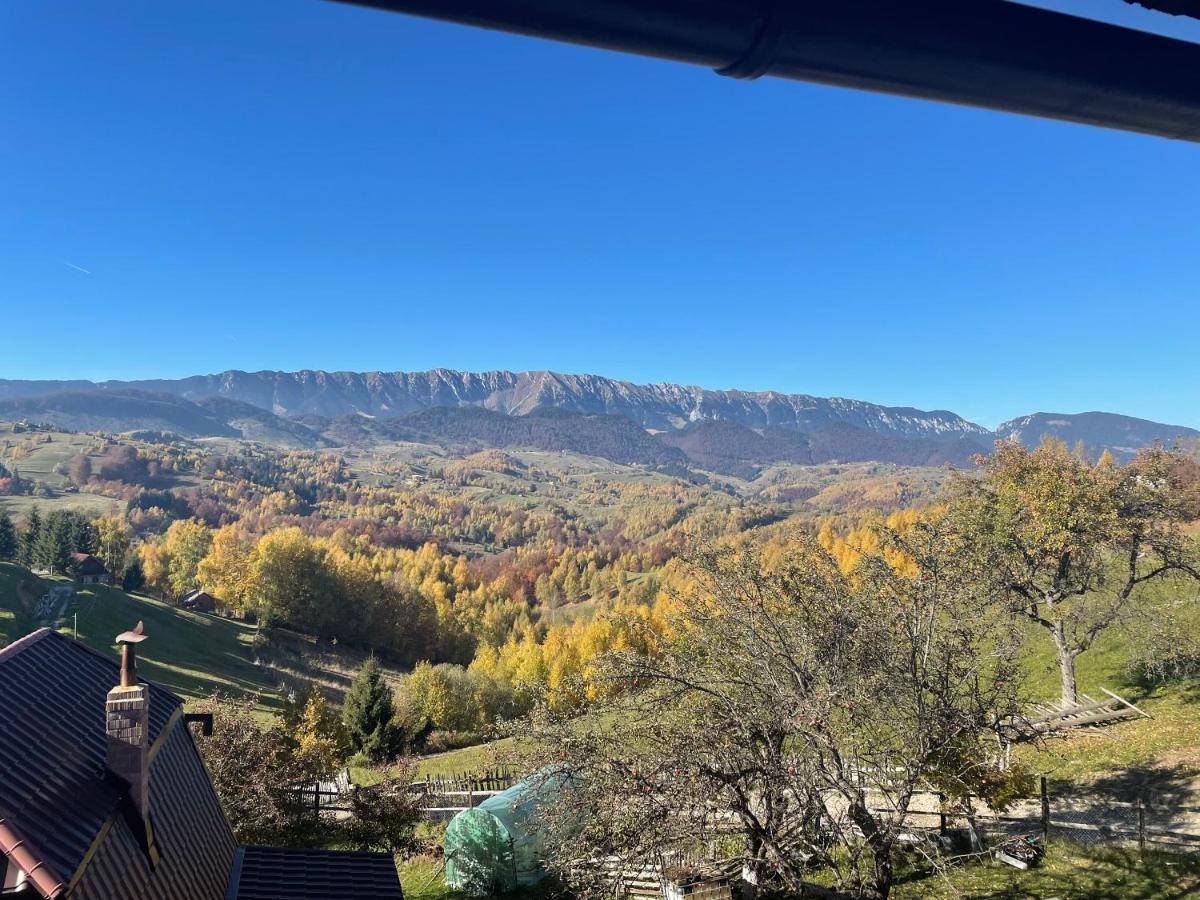 Villa Prater House Mountain View Moieciu de Jos Esterno foto