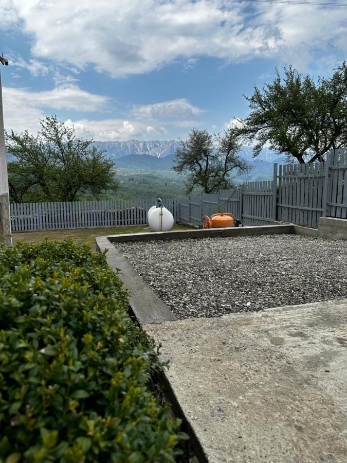 Villa Prater House Mountain View Moieciu de Jos Esterno foto