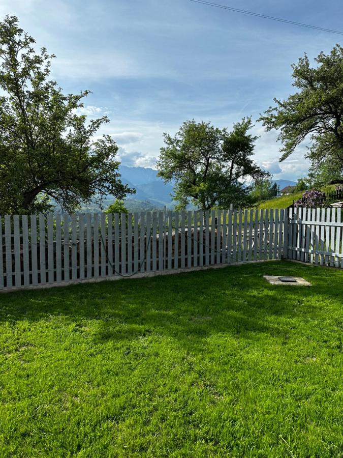 Villa Prater House Mountain View Moieciu de Jos Esterno foto