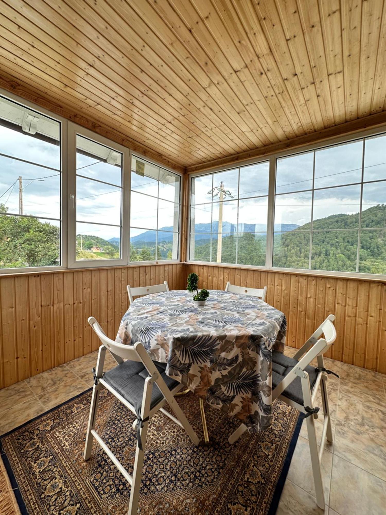 Villa Prater House Mountain View Moieciu de Jos Esterno foto